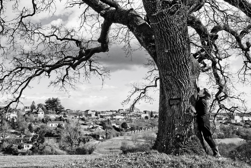 Plaidoyer pour les arbres.