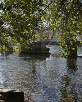 Le jardin de Pétrarque – Fontaine de Vaucluse