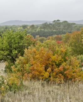 Paysages d’automne en garrigue…