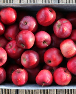 Ces pommes qui nous sont si familières