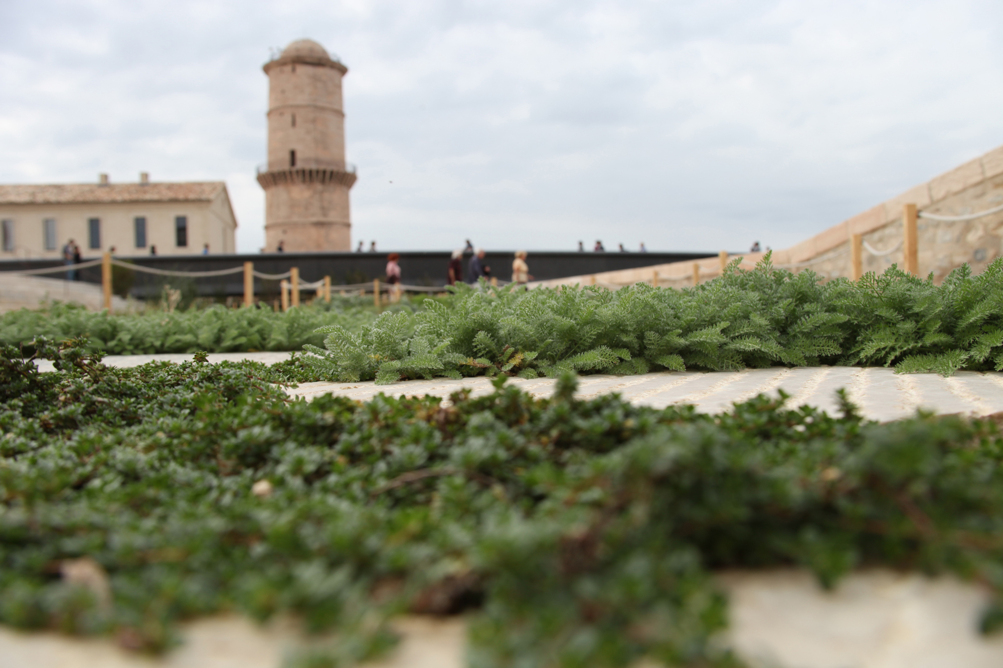 Jardin des migrations, Mucem