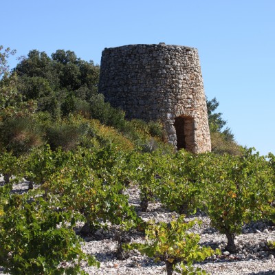 Plan d’Action Paysage des «Causses, canyons et vignobles du Minervois» (34) – 2017 – 2021