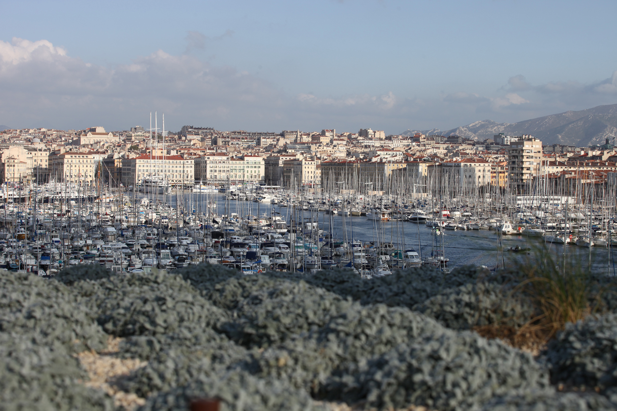 Jardin des migrations, Mucem