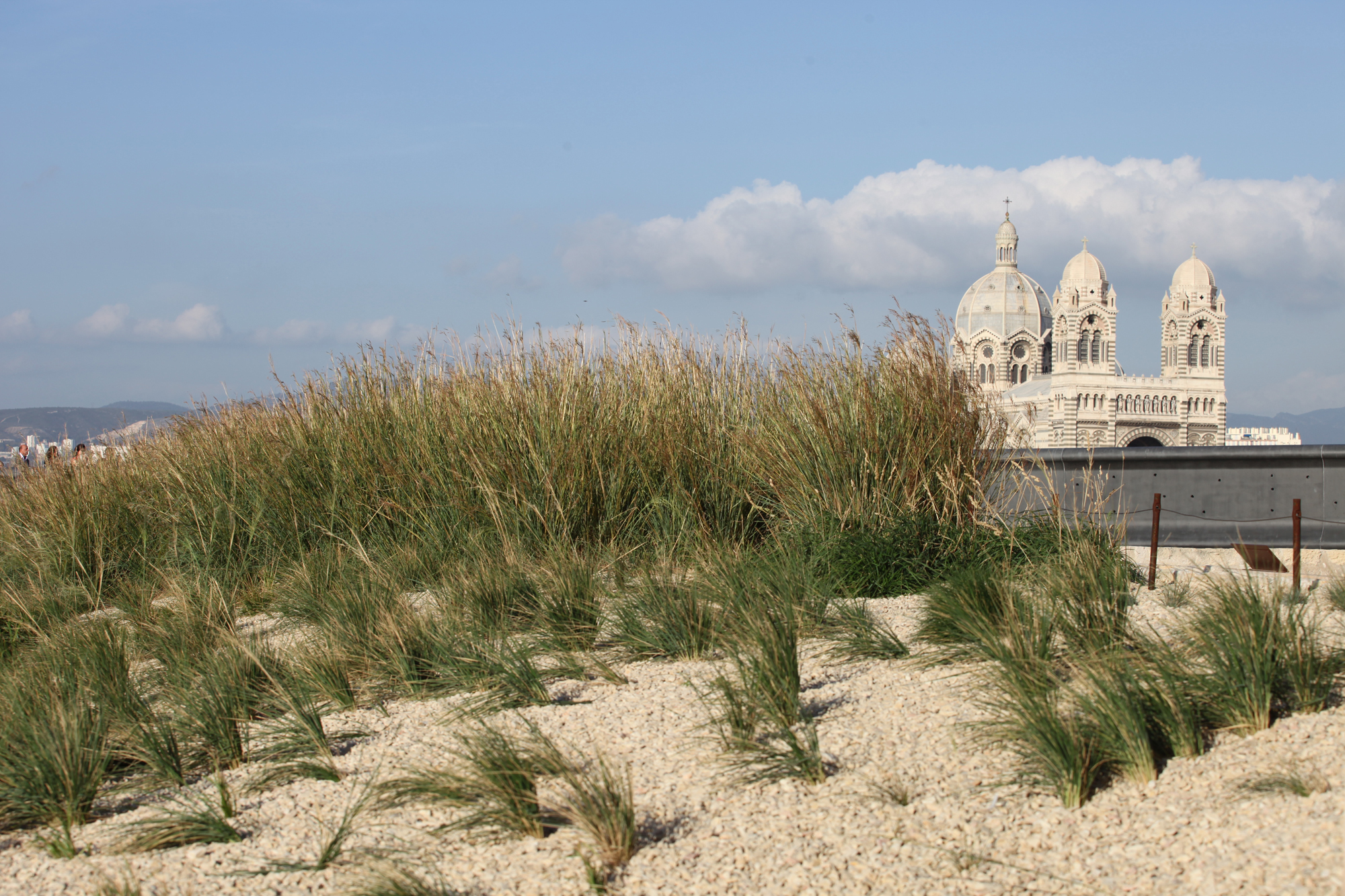 Jardin des migrations, Mucem