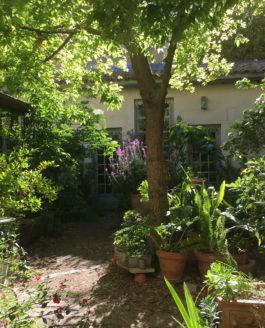 Etre au jardin confinée…