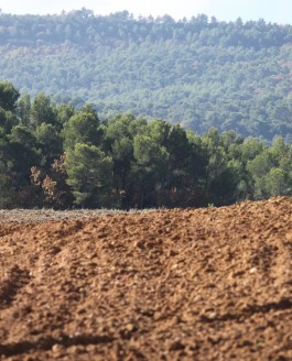 Le paysage au service des Accords de Paris – Le message du collectif des Paysages de l’Après-Pétrole (PAP)