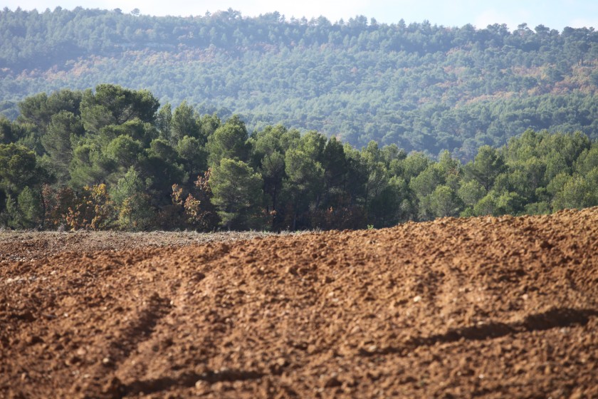 Le paysage au service des Accords de Paris – Le message du collectif des Paysages de l’Après-Pétrole (PAP)