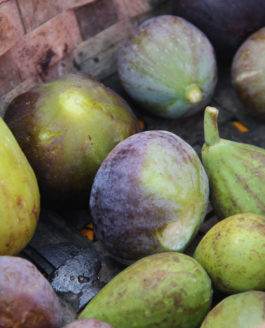 Comment ne pas se laisser tenter par la chair sucrée des figues ?