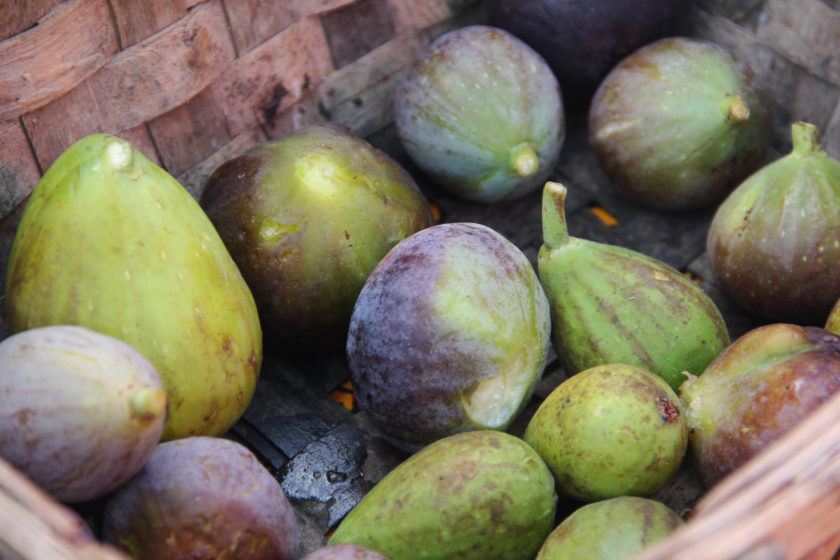 Comment ne pas se laisser tenter par la chair sucrée des figues ?