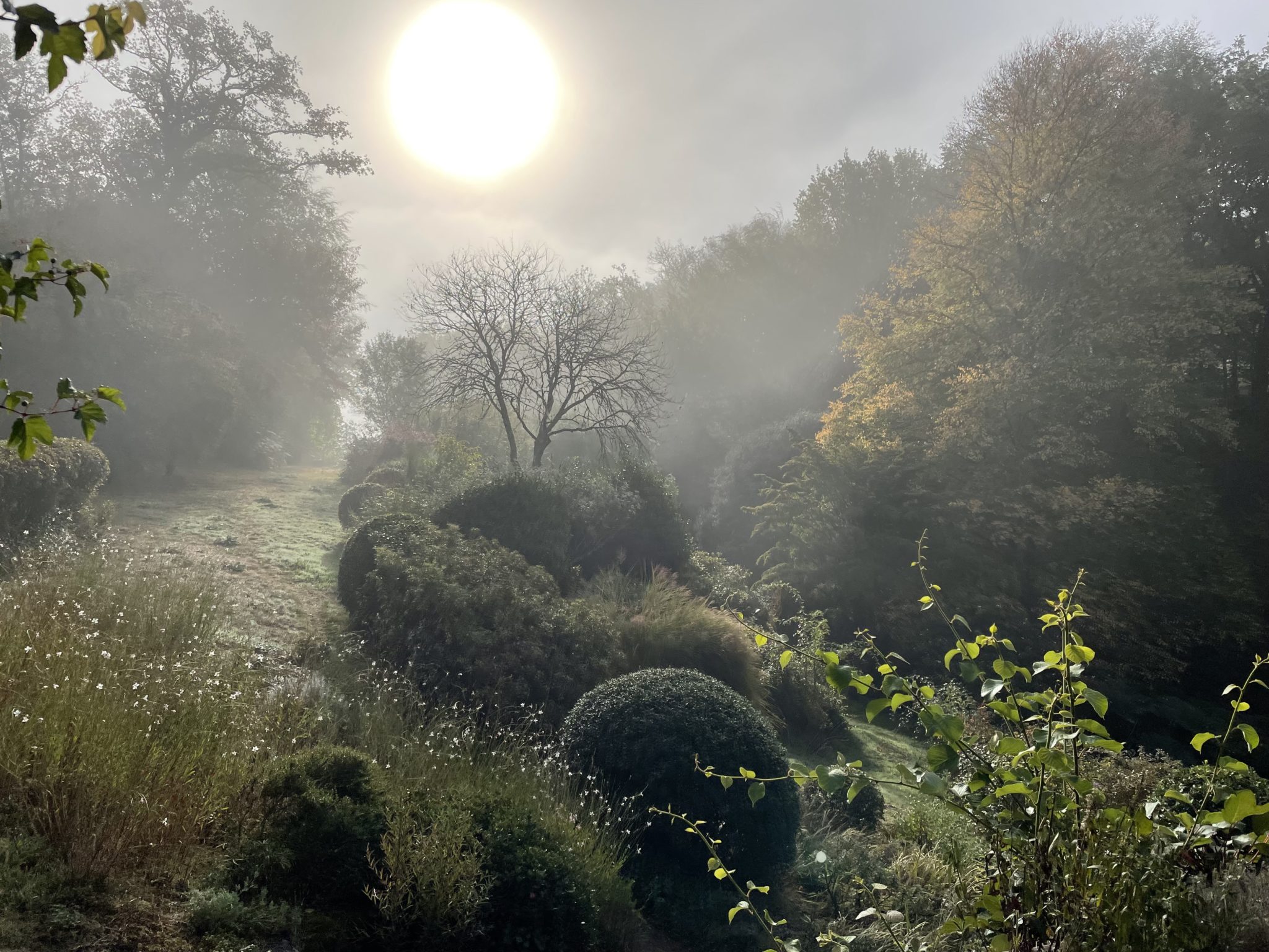 Jardin en Creuse ©vmure