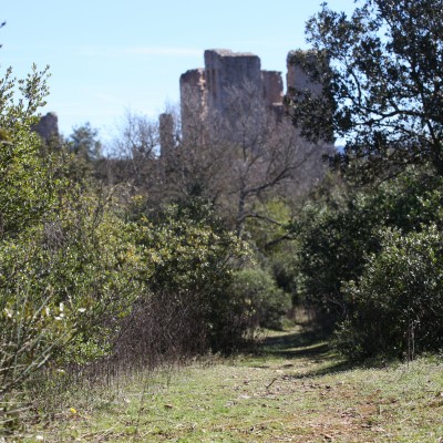 Aménagement de l’Espace Naturel Sensible du Château de Valbelle – Tourves (83) 2017 – 2020