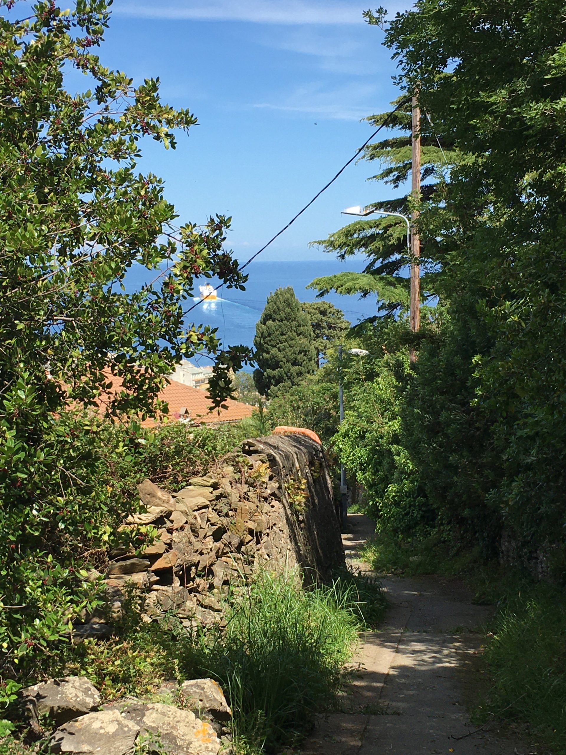 Montée Fort Lacroix - Bastia ©vmure