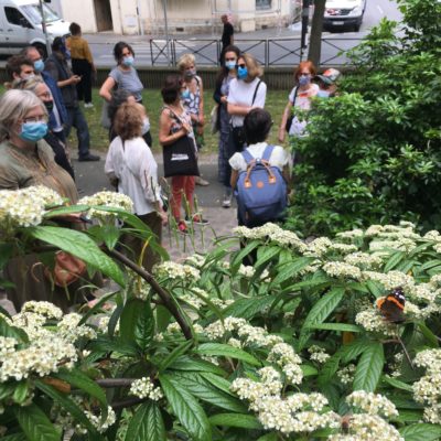 ETUDE BIODIVERSITE – Ivry sur Seine (94) en cours 