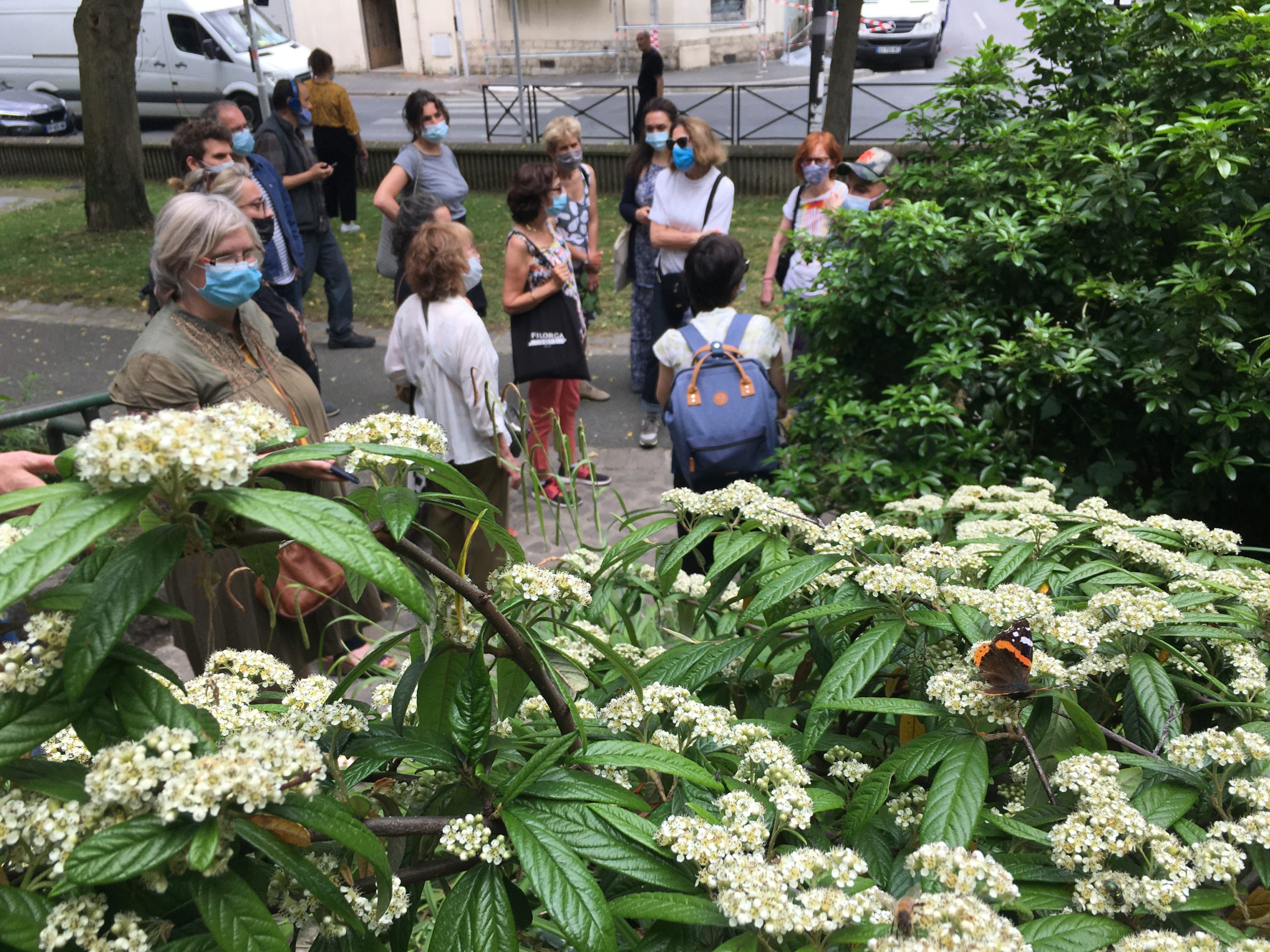 Biodiversité Ivry sur Seine ©vmure