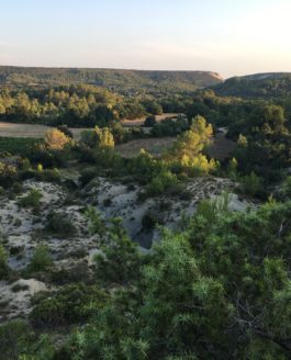 Que sont les paysages méditerranéens devenus ?