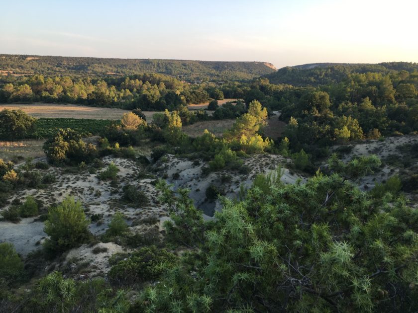 Que sont les paysages méditerranéens devenus ?