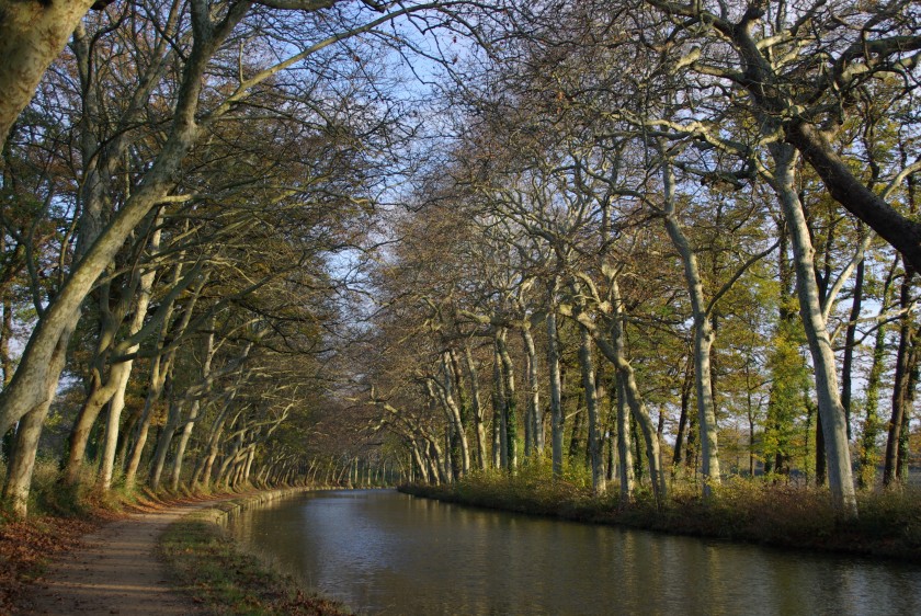 A l’ombre des platanes… Paysages du canal du midi