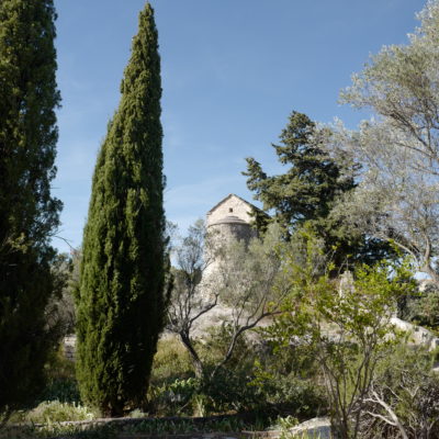 Sentier botanique – jardins de l’Abbaye Saint André, Villeneuve les Avignon (30) – 2019