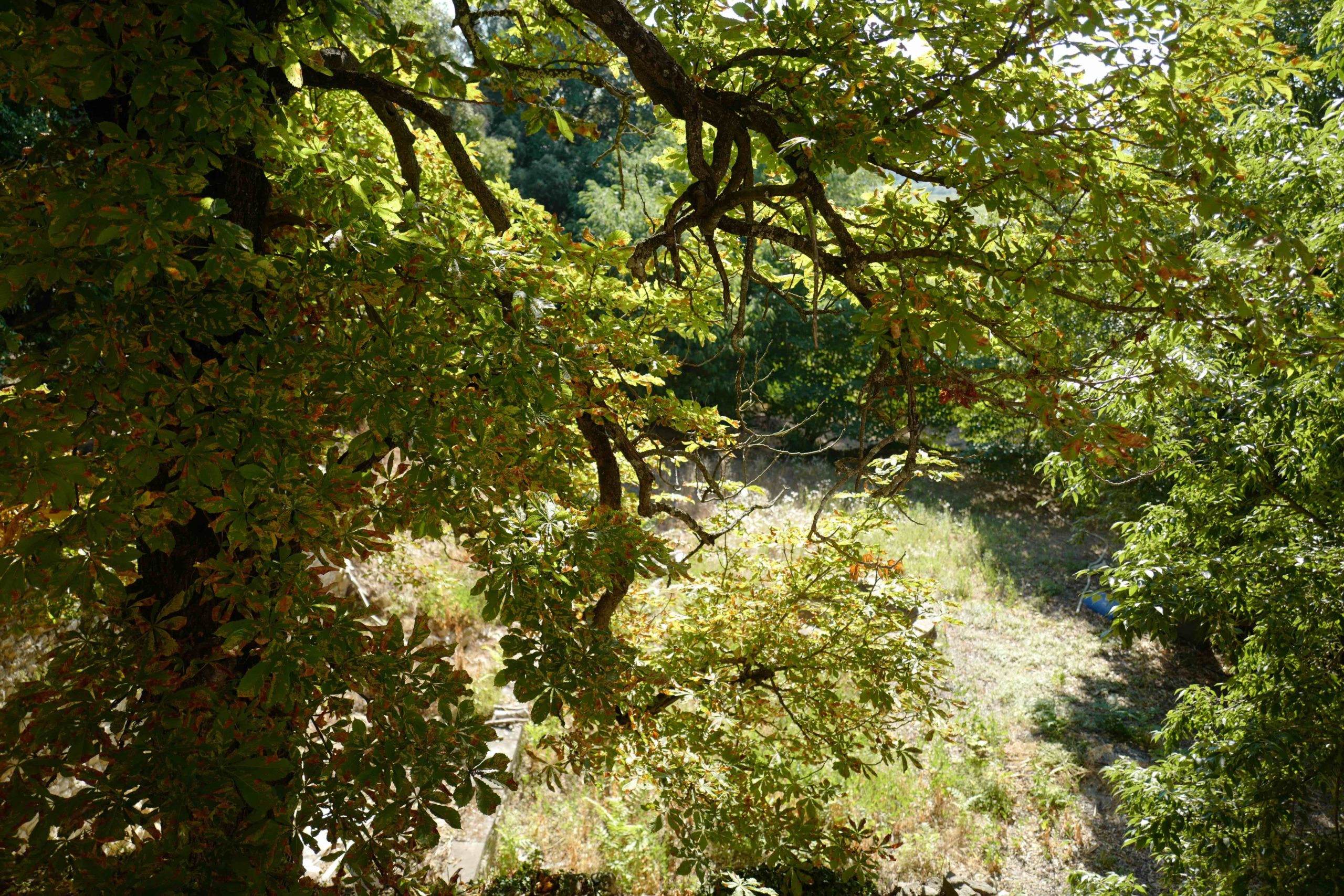 Domaine Bresquet ©VMure