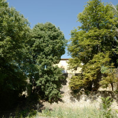 Palette végétale du domaine du  Bresquet – St Nazaire du Gard, (30) en cours