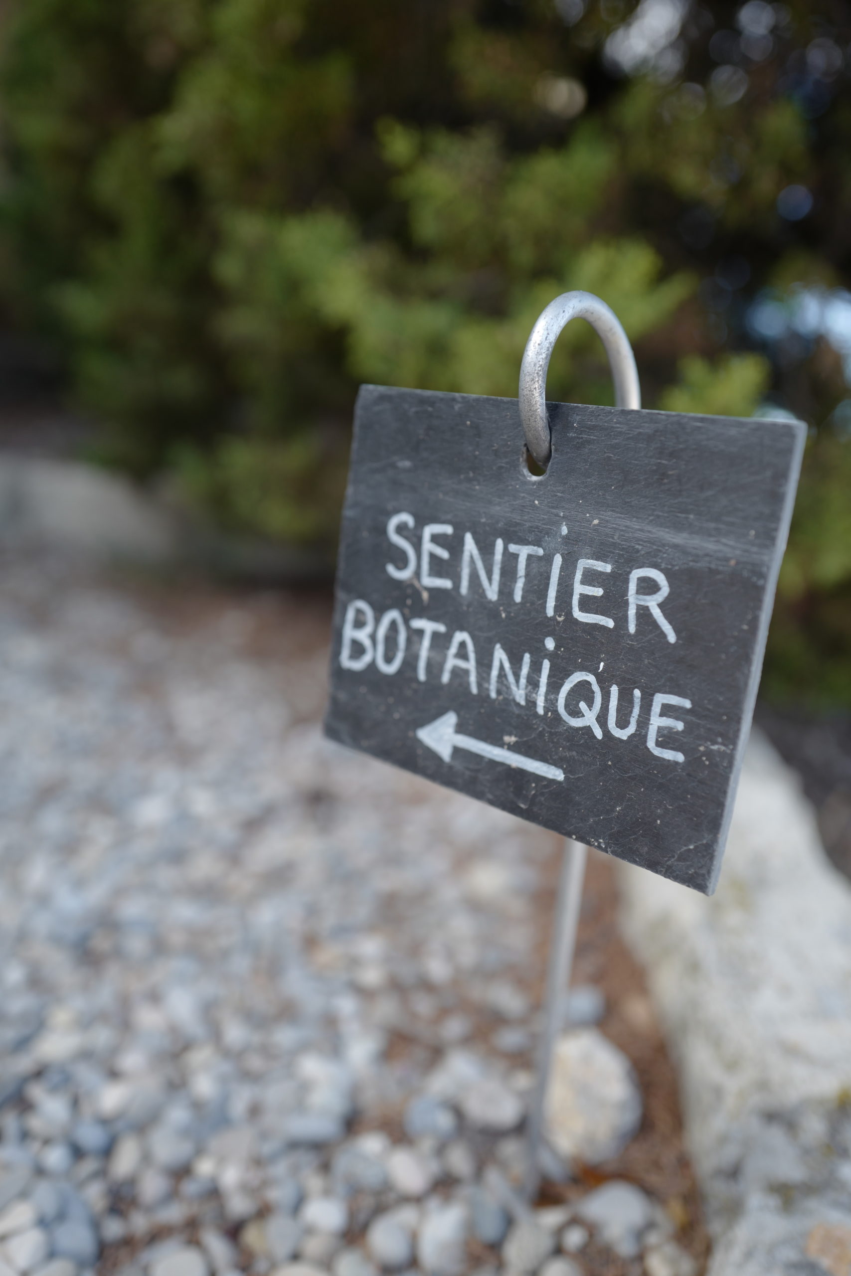 Sentier botanique Abbaye St André ©vmure