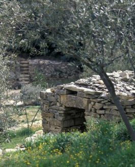 Il était une fois la garrigue… par Jacques Maigne.