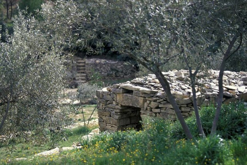 Il était une fois la garrigue… par Jacques Maigne.