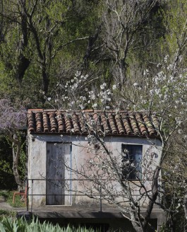 Le jardin dormait encore…