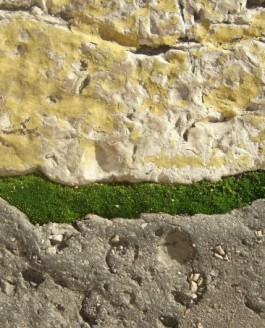 La ville, la nature et le temps qui passe…