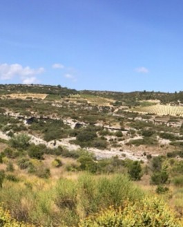 Un jour de septembre en Minervois