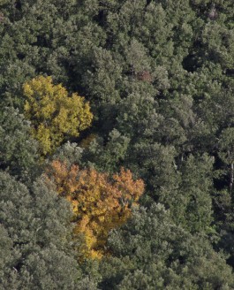 Pourquoi un Parc Naturel Régional des Garrigues ? par Bertrand Folléa, paysagiste-urbaniste, Grand prix du paysage 2016.