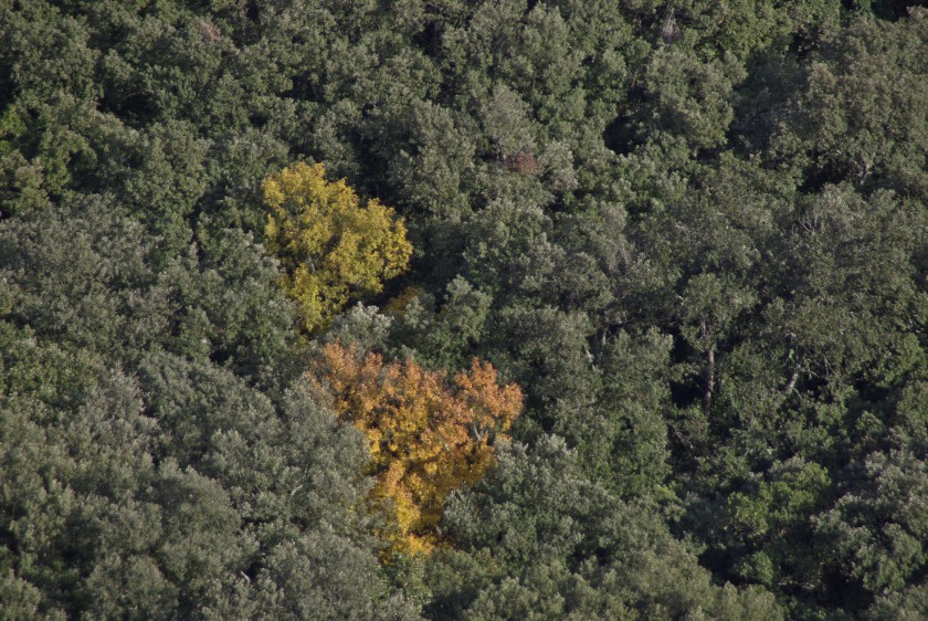 Pourquoi un Parc Naturel Régional des Garrigues ? par Bertrand Folléa, paysagiste-urbaniste, Grand prix du paysage 2016.