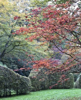 L’arboretum de la Sedelle  en couleur