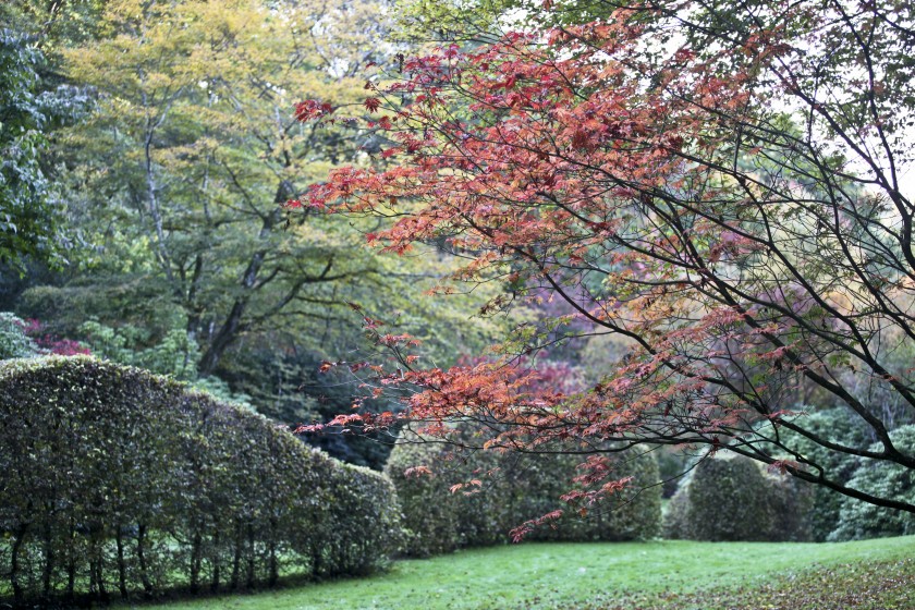 L’arboretum de la Sedelle  en couleur