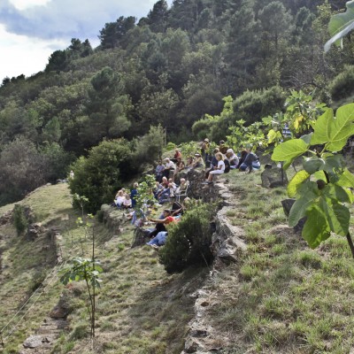 Le jardin des figuiers – Sur le sentier des lauzes (07) 2014-2015