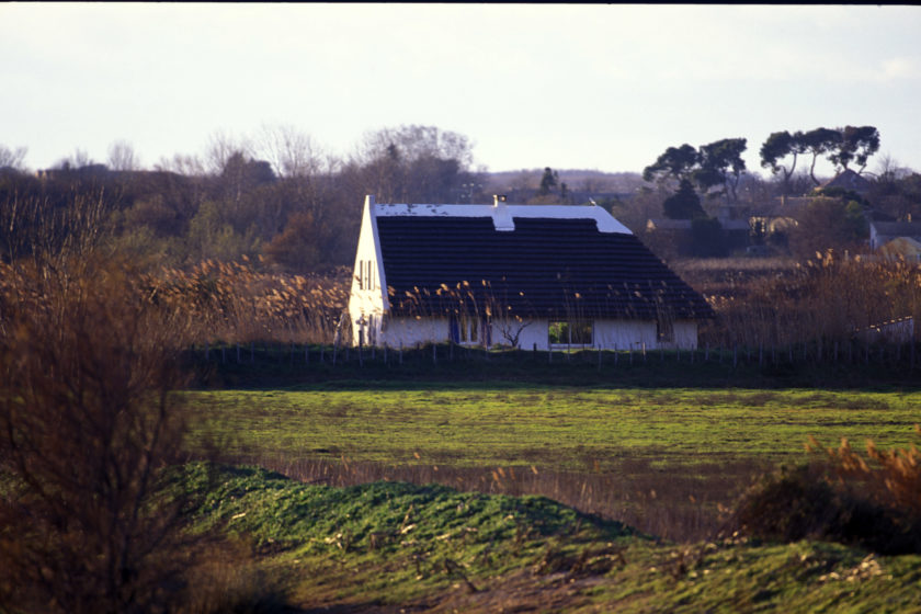 La Camargue, mirage sud, par Jacques Maigne.