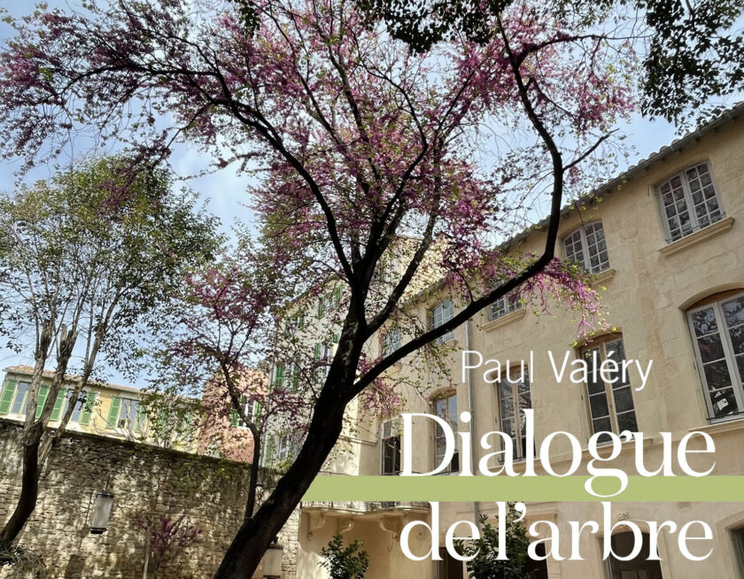 Dialogue de l&rsquo;Arbre, Paul Valéry – Lecture en hommage à Francis Hallé